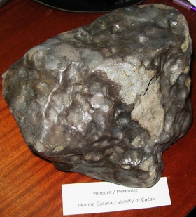 Jelica (BelgradeNHM)-Blic-rs 1.jpg