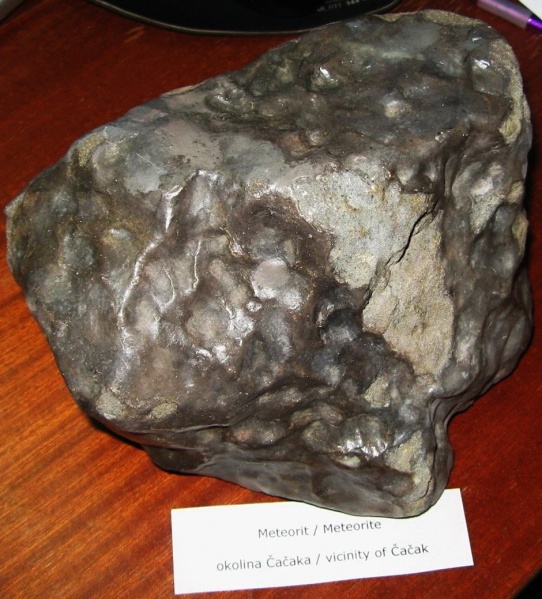 Plik:Jelica (BelgradeNHM)-Blic-rs 1.jpg