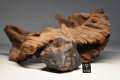 Miniatura wersji z 20:08, 16 sie 2026