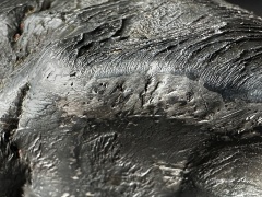 Zadzim (mainmass)-SzKcu 8701-2.jpg