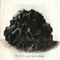 Braunau (Bayer 1868 p451).jpg