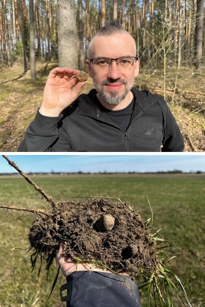 Plik:Pultusk (36g 2026-04 Simkoz)-fb1.jpg