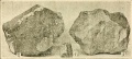 Miniatura wersji z 15:26, 8 wrz 2026