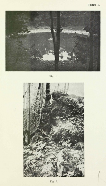 Plik:Kaalijärv (Reinwaldt 1928 tafel-1).jpg