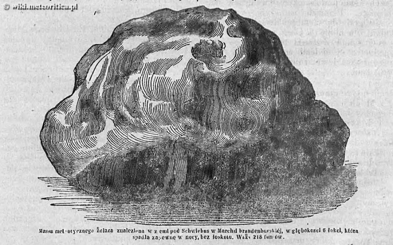 Plik:Seeläsgen (Strąbskiego Kalendarz 1855).jpg