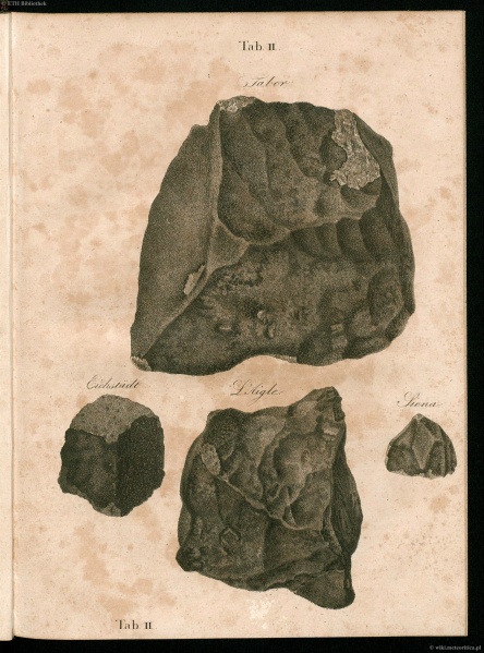 Plik:Schreibers 1820 (Tab-ii).jpg