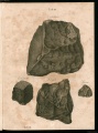 Schreibers 1820 (Tab-ii).jpg