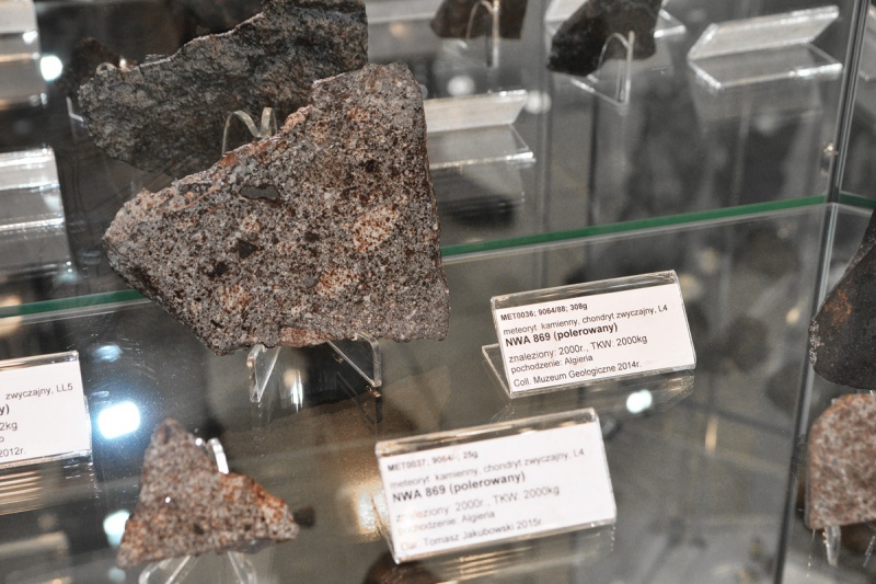 Plik:Meteoryty (Muzeum Geologiczne UŁ) 7.jpg