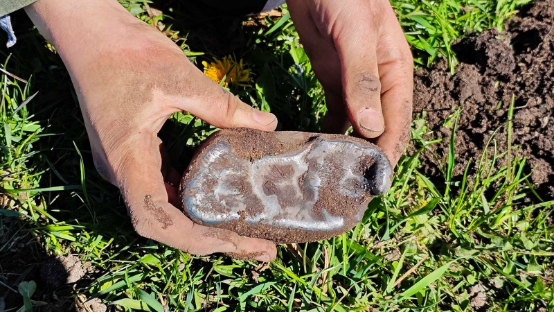 Plik:SN20260417 (find KSK)-4-fb1.jpg