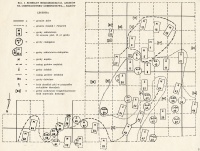 Częstochowa-Raków (Kapica 1965)-rys01.jpg