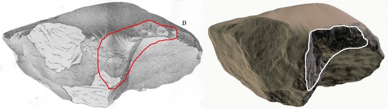 Plik:Gross-Divina (Papp 2014)-fig1.jpg