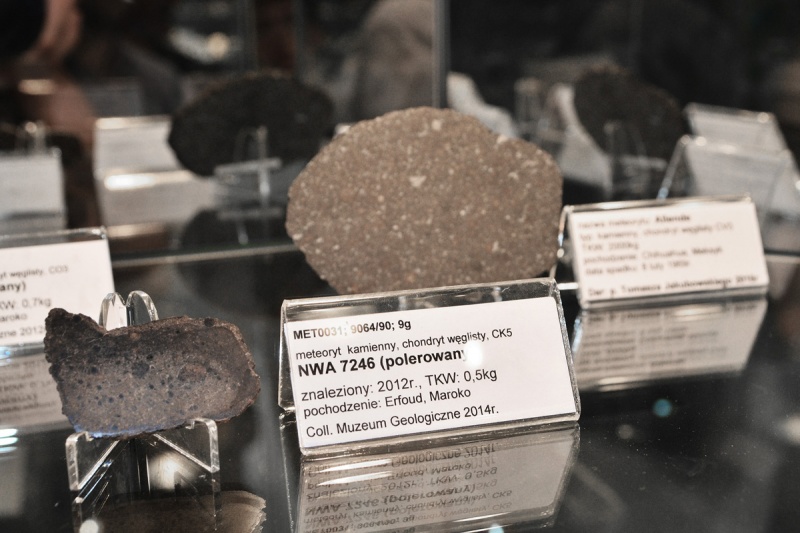 Plik:Meteoryty (Muzeum Geologiczne UŁ) 5.jpg