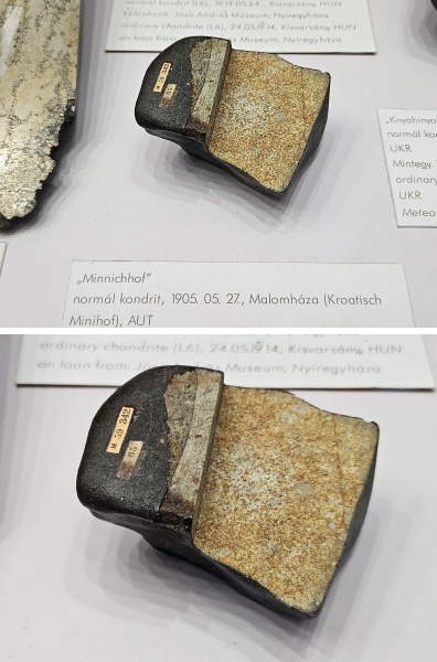 Plik:Minnichhof (NHM Budapest)-2024.jpg