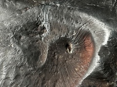 Zadzim (mainmass)-SzKcu 8686.jpg