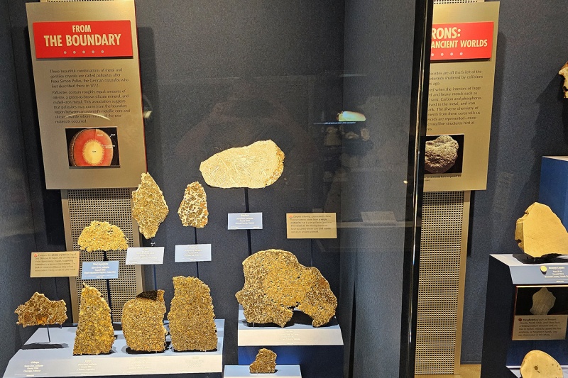 Plik:Washington NMNH (pallasites).jpg