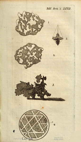 Plik:Widmanstätten pattern (Thomson 1804).jpg