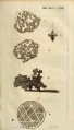 Widmanstätten pattern (Thomson 1804).jpg