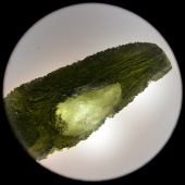 Moldavite (Muzeum Czeski Krumlov) okazy7.jpg