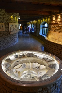 Kaali Muuseum (exhibition)-3.jpg