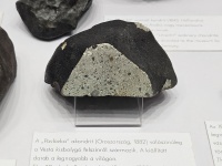 Pavlovka (NHM Budapest)-2024.jpg