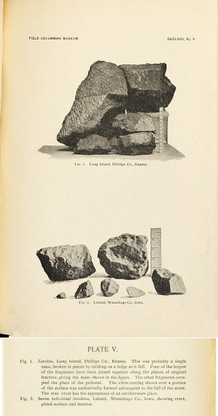 Plik:Farrington 1895 (plate5).jpg