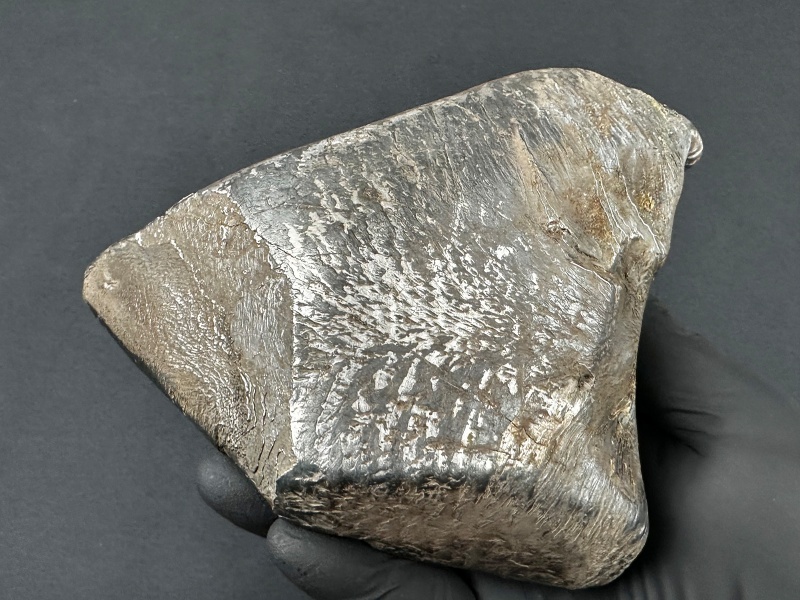 Plik:SN20260417 (mainmass)-SzK 7473.jpg