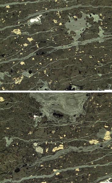 Plik:Tarnobrzeg (UŚl ore microscope)-fb.jpg