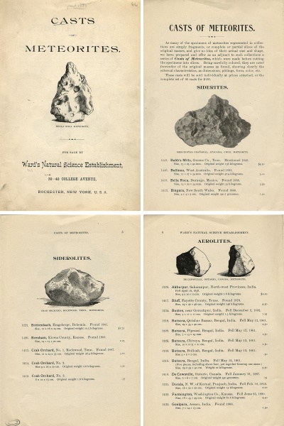 Plik:Ward (Casts of Meteorites)-1.jpg