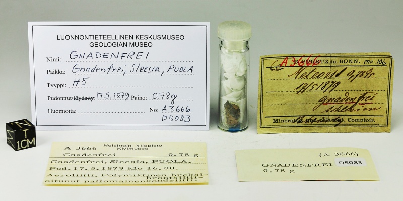 Plik:Gnadenfrei (Tomasz Jakubowski Meteorites Collection, Luonnontieteellinen keskusmuseo).jpg
