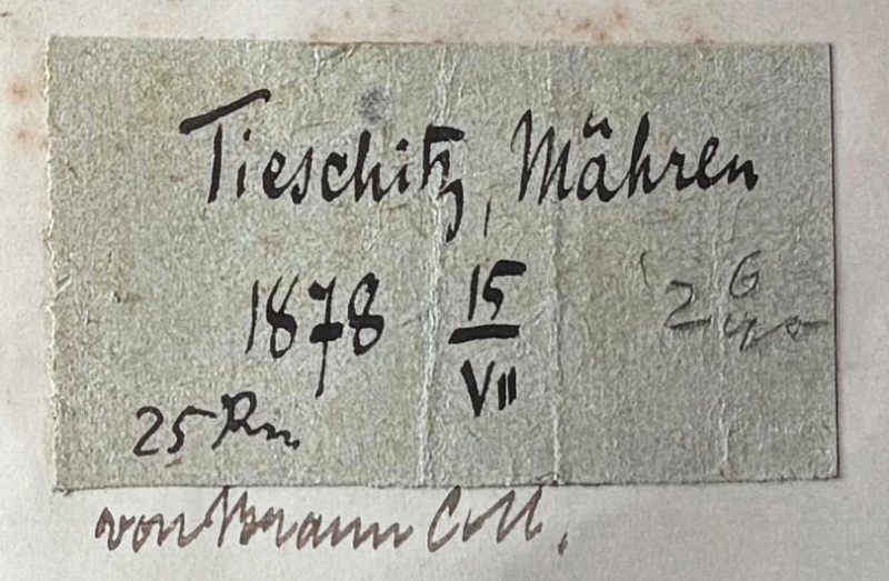 Plik:Tieschitz (Gregory-p003)-label1.jpg