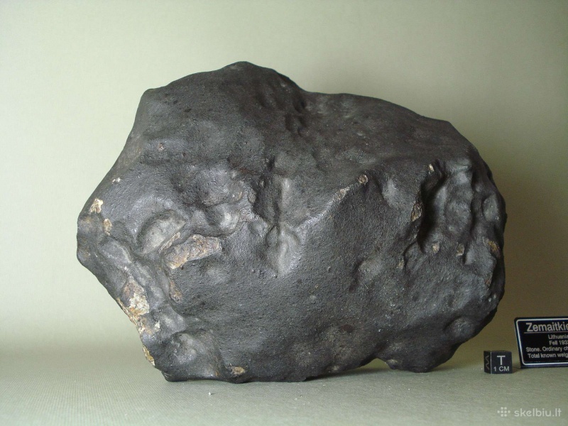 Plik:Zemaitkiemis (Parduodu-meteorita-zemaitkiemis3).jpg