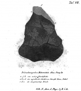 Lixna (Grotthuss 1821 Taf VII).jpg