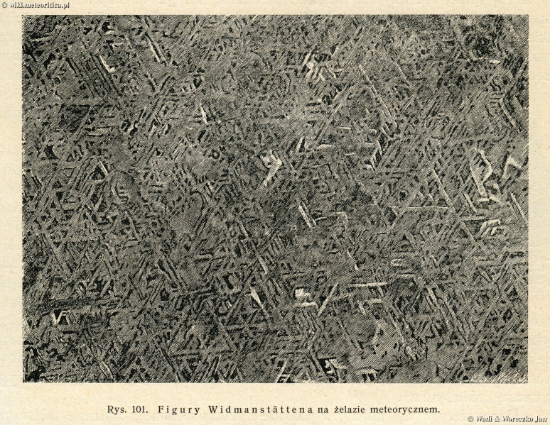 Plik:Widmanstatten (Neumayr 1912-rys101).jpg