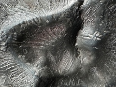 Zadzim (mainmass)-SzKcu 8674.jpg