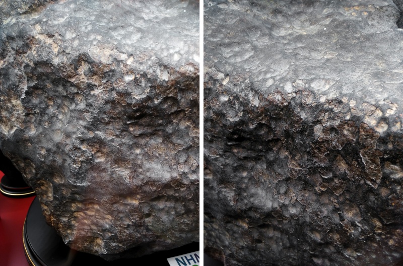 Plik:Knyahinya (NHM Vienna)-TJ16.jpg