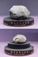 Morávka (NHM Prague)-TJ-a.jpg