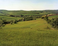 Mocs (Lucian Bran)-Mociu-1.jpg