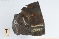 Schwiebus (Muzeum Mineralogiczne UWr) 4.jpg