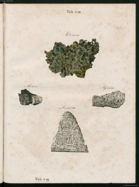 Plik:Schreibers 1820 (Tab-viii).jpg