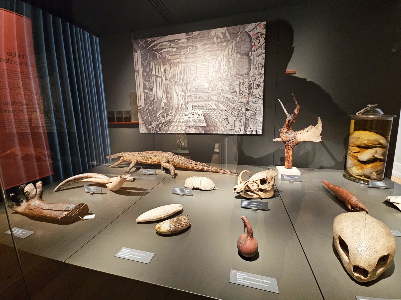 Plik:CopenhagenUGM (exposition)-1.jpg