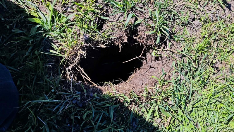 Plik:SN20260417 (find KSK)-0-fb1.jpg