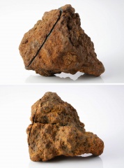 Steinbach (8kg-Leon Thann)-fb2.jpg