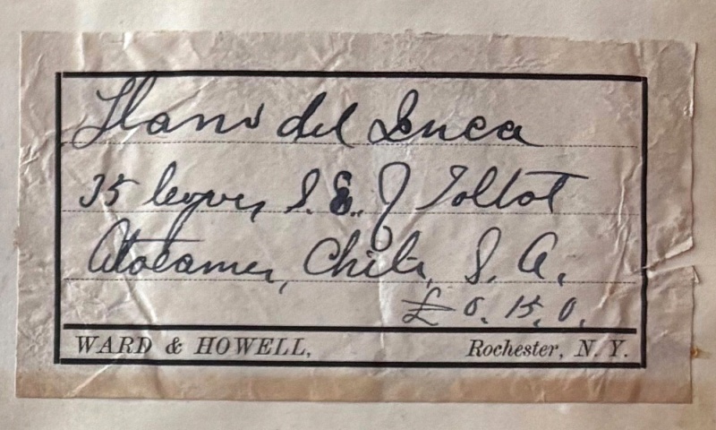 Plik:Ward (Vaca Muerta) Gregory-031-label1.jpg