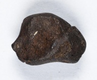 Pułtusk (MMUWR I 1 1).jpg