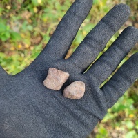 Pułtusk (groch pułtuski Konrad Łęcki)-fb1.jpg