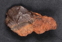 Gebel Kamil (MMUWR I 91).jpg