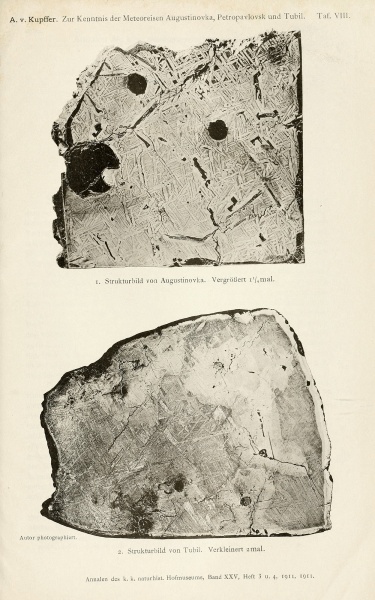 Plik:Kupffer 1911 (Taf. VIII).jpg