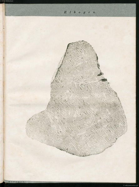 Plik:Schreibers 1820 (Tab-ix).jpg