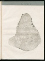 Schreibers 1820 (Tab-ix).jpg