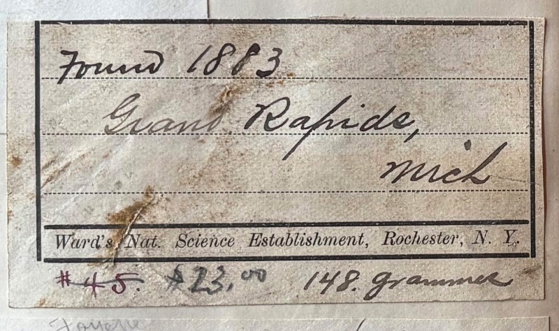 Plik:Ward (Grand Rapids) Gregory-020-label1.jpg